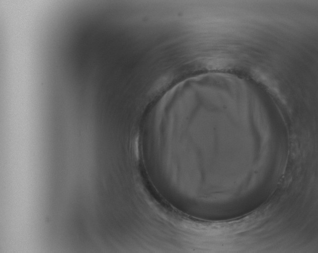 X0000072500019200607290117