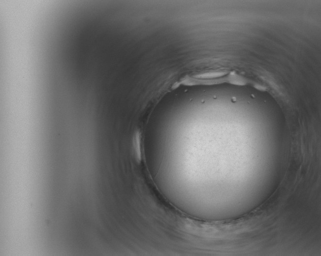 X0000072500022200607290117