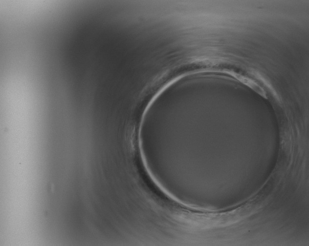 X0000072500023200607290117