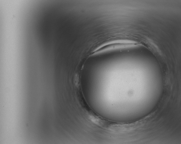 X0000072500025200607290117