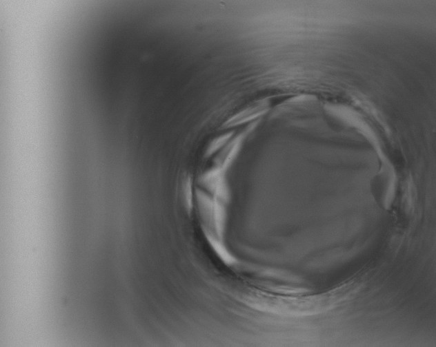 X0000072500027200607290117