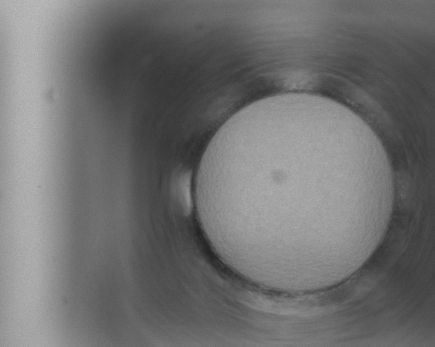 X0000072500028200607290117