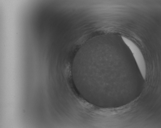 X0000072500029200607290117