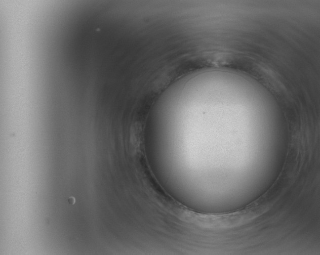 X0000072500030200607290117