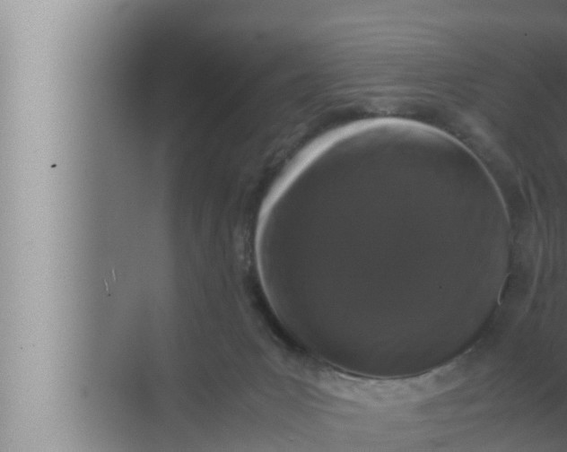 X0000072500031200607290117