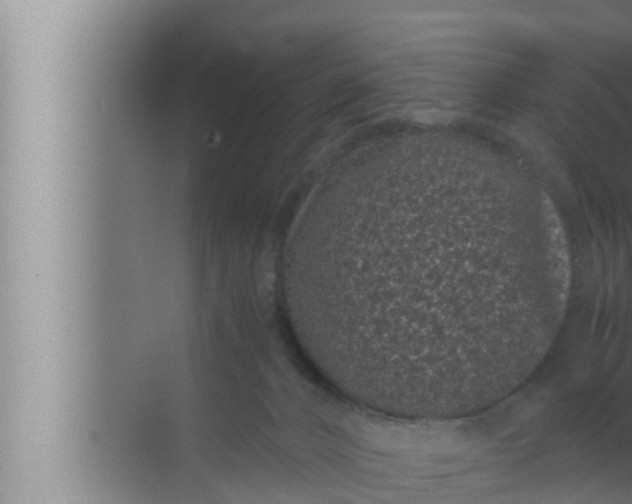 X0000072500032200607290117