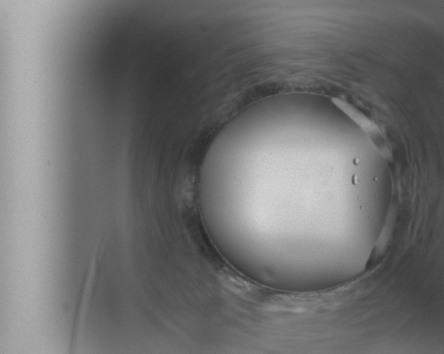 X0000072500033200607290117