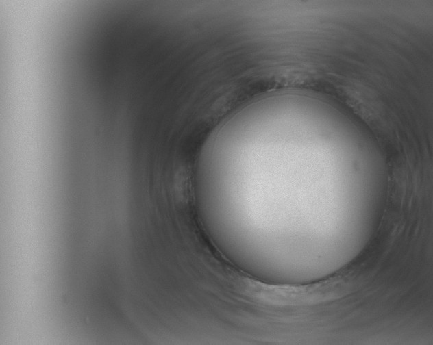 X0000072500034200607290117