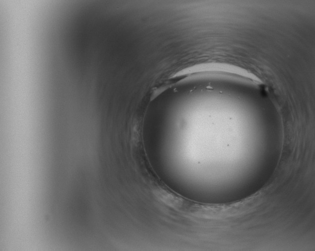 X0000072500037200607290117