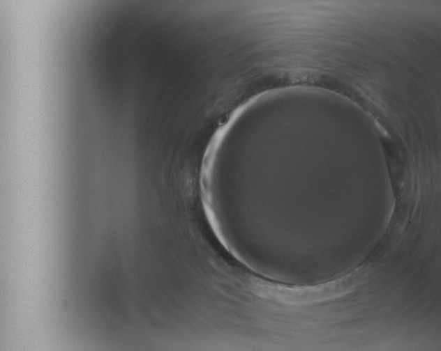 X0000072500039200607290117