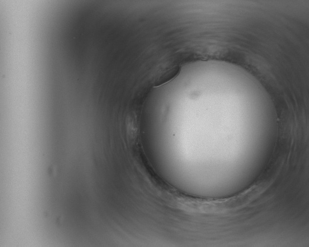 X0000072500040200607290117