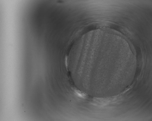 X0000072500041200607290117