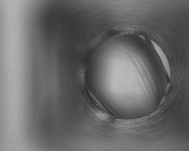 X0000072500045200607290117