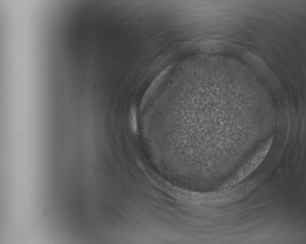 X0000072500046200607290117