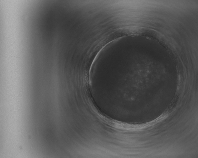 X0000072500048200607290117