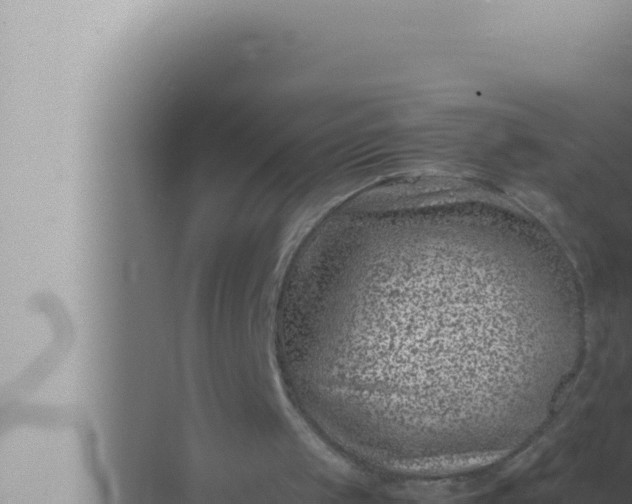 X0000072500049200607290116