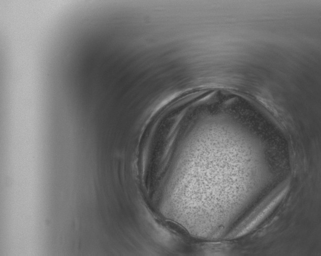 X0000072500050200607290116