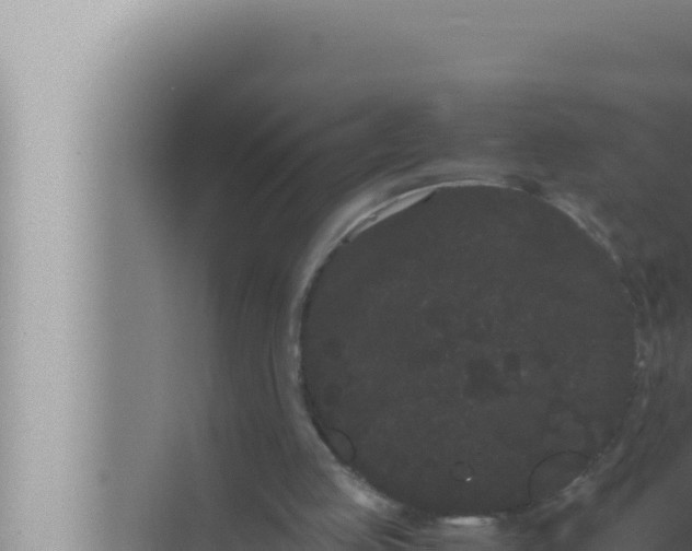 X0000072500053200607290116