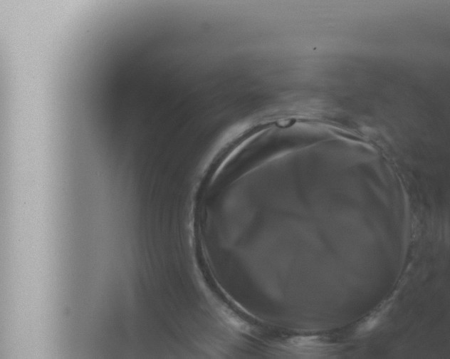 X0000072500054200607290116