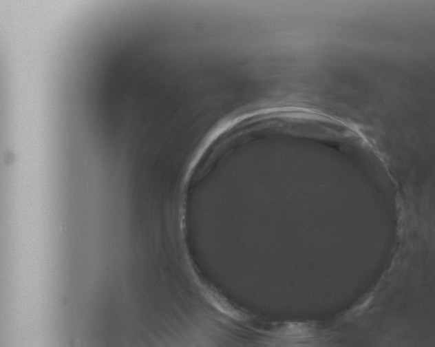 X0000072500056200607290116