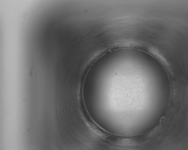 X0000072500058200607290116