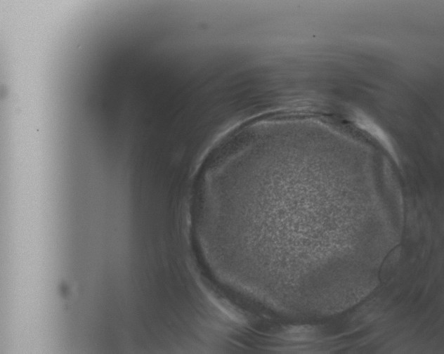 X0000072500059200607290116