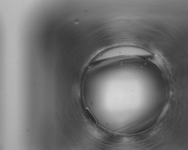 X0000072500060200607290116