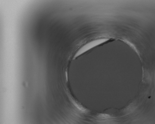 X0000072500061200607290116