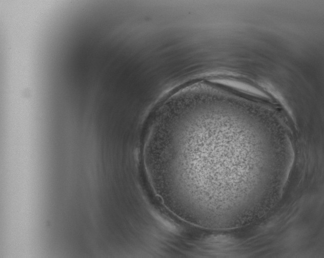 X0000072500063200607290116