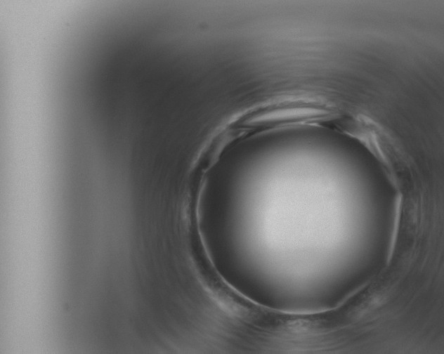 X0000072500064200607290116