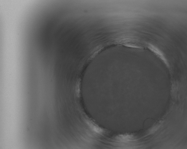 X0000072500065200607290116