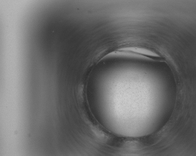 X0000072500066200607290116