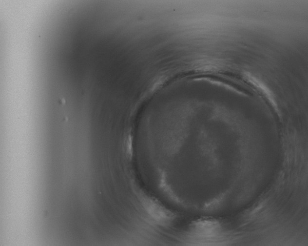 X0000072500067200607290116