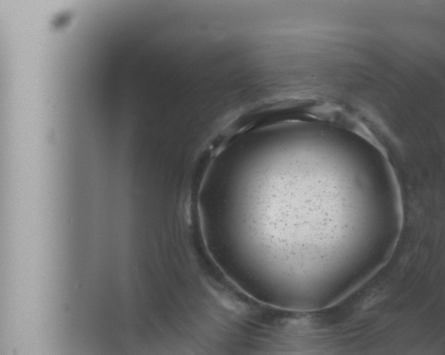 X0000072500068200607290116