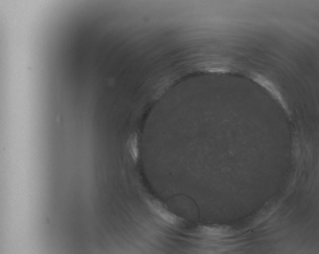 X0000072500069200607290116