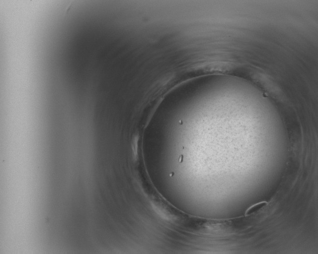 X0000072500070200607290116