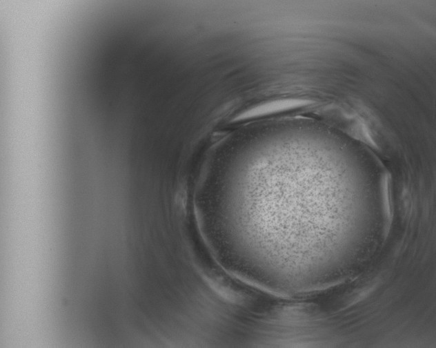 X0000072500072200607290116