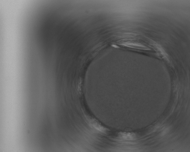 X0000072500073200607290116