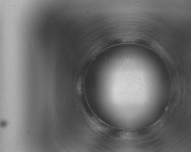 X0000072500074200607290116