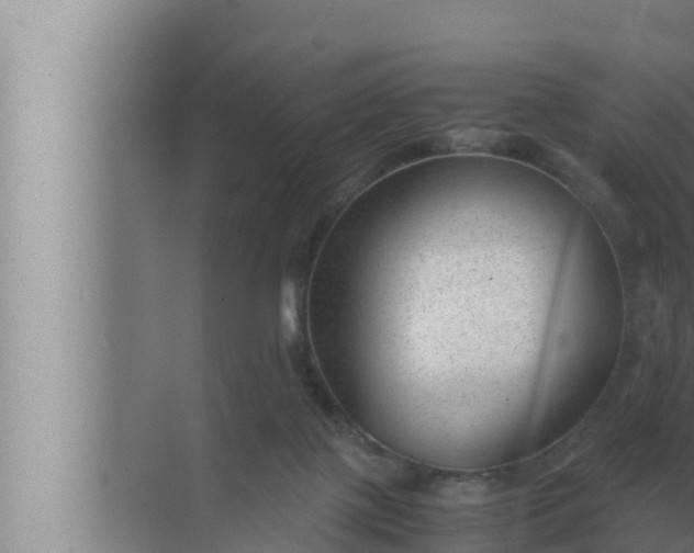 X0000072500075200607290116