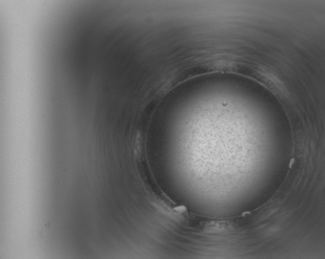 X0000072500077200607290116