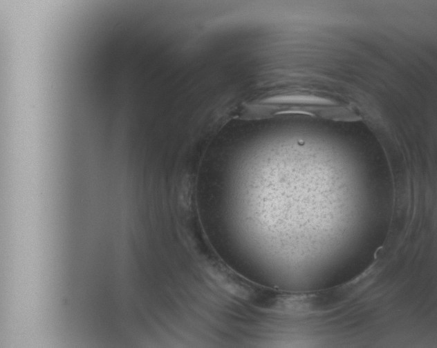 X0000072500078200607290117