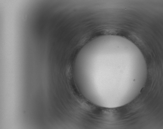 X0000072500079200607290117