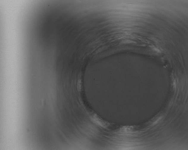 X0000072500080200607290117