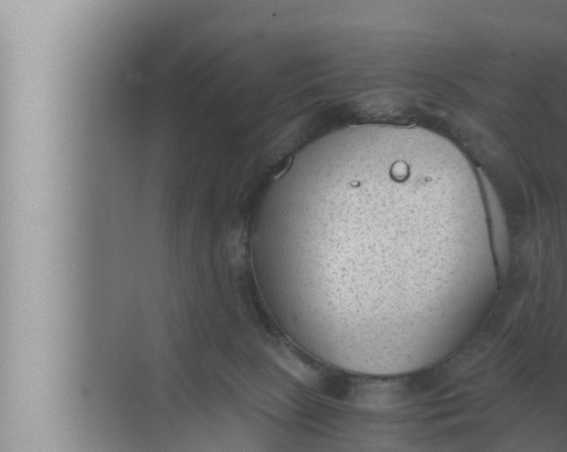 X0000072500081200607290117