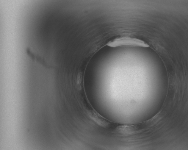 X0000072500082200607290117