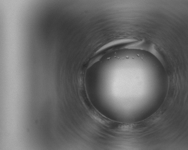 X0000072500084200607290117