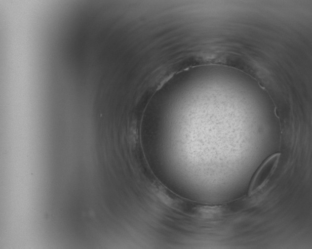 X0000072500085200607290117