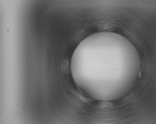 X0000072500087200607290117