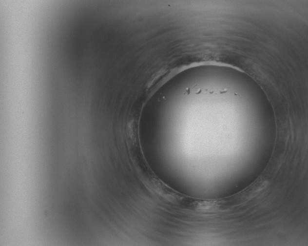 X0000072500088200607290117